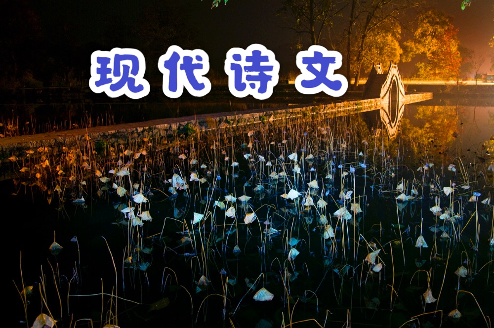 现代诗文