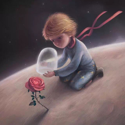 The little prince小王子