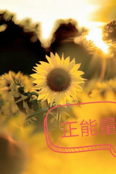 正能量
