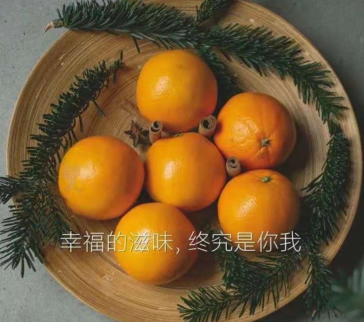 菲儿的世界