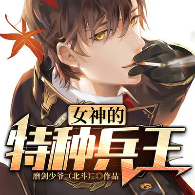 女神的特种兵王 女神的特种兵王