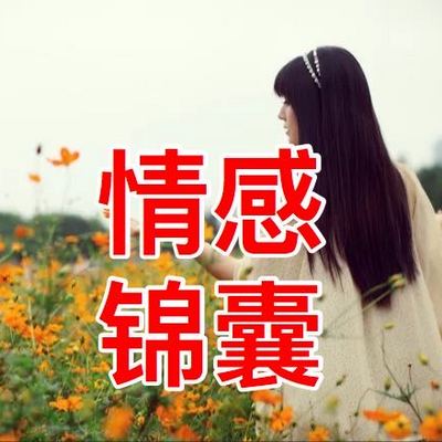 情感锦囊