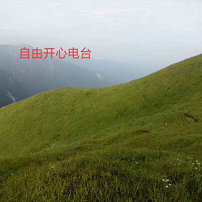 自由开心电台