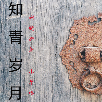 知青岁月 知青岁月