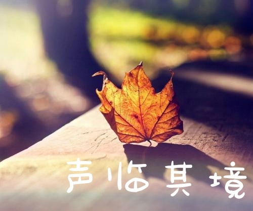 声临其境