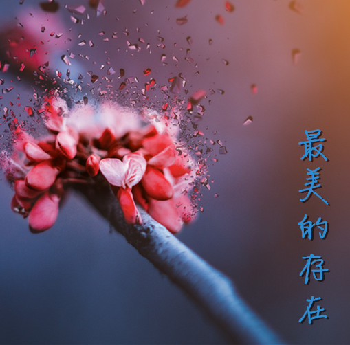 最美的存在