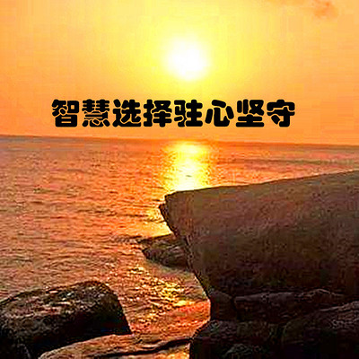 王鹏睿丨智慧选择驻心坚守 王鹏睿丨智慧选择驻心坚守