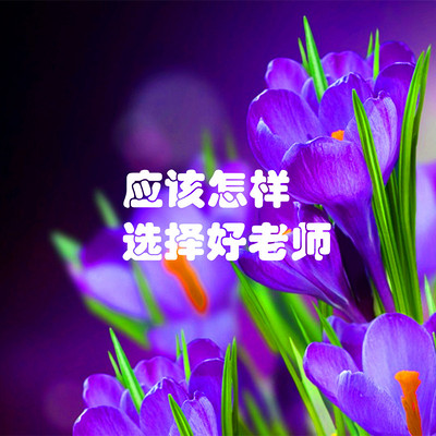王鹏睿丨应该怎样选择好老师 王鹏睿丨应该怎样选择好老师