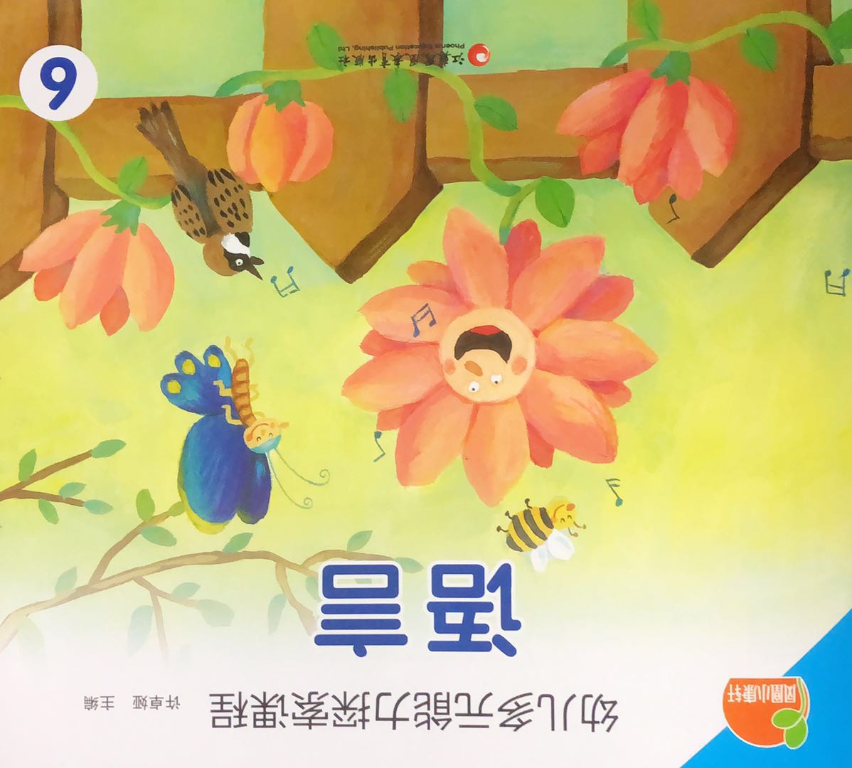 幼儿多元能力探索课程（六）