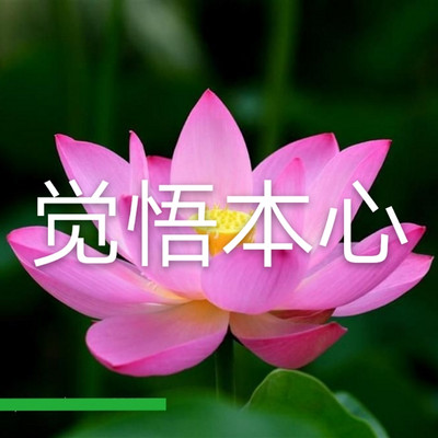 觉悟本心
