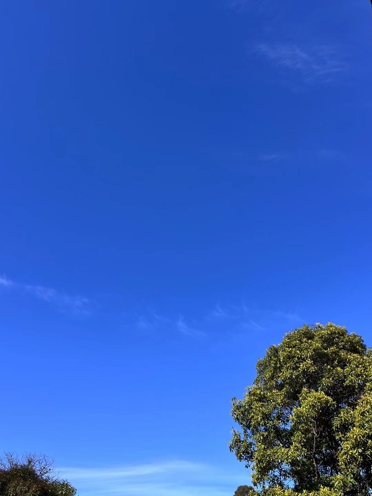 内在说明书