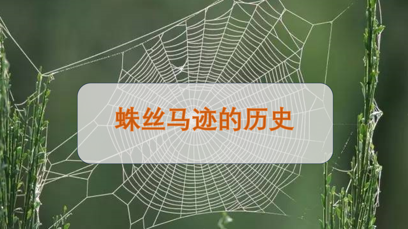 蛛丝马迹的历史