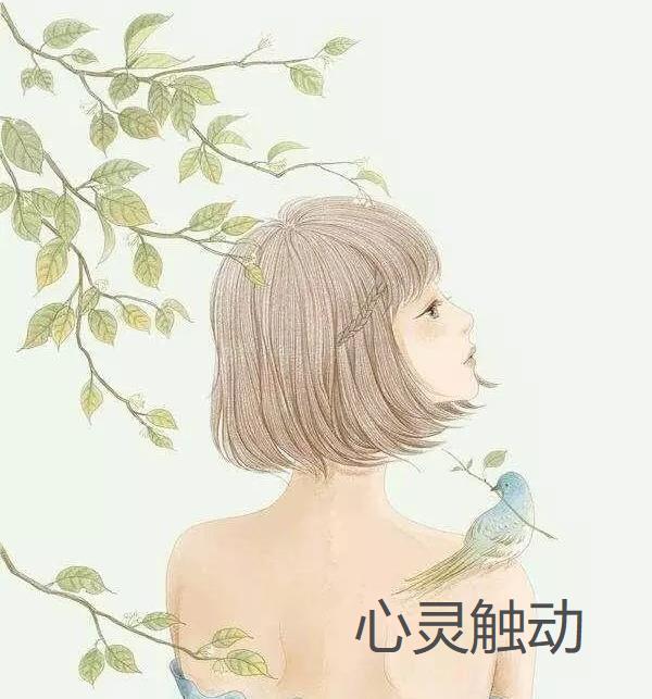 心灵触动
