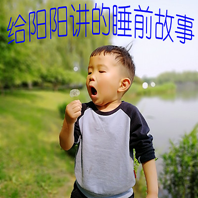 给阳阳讲的睡前故事