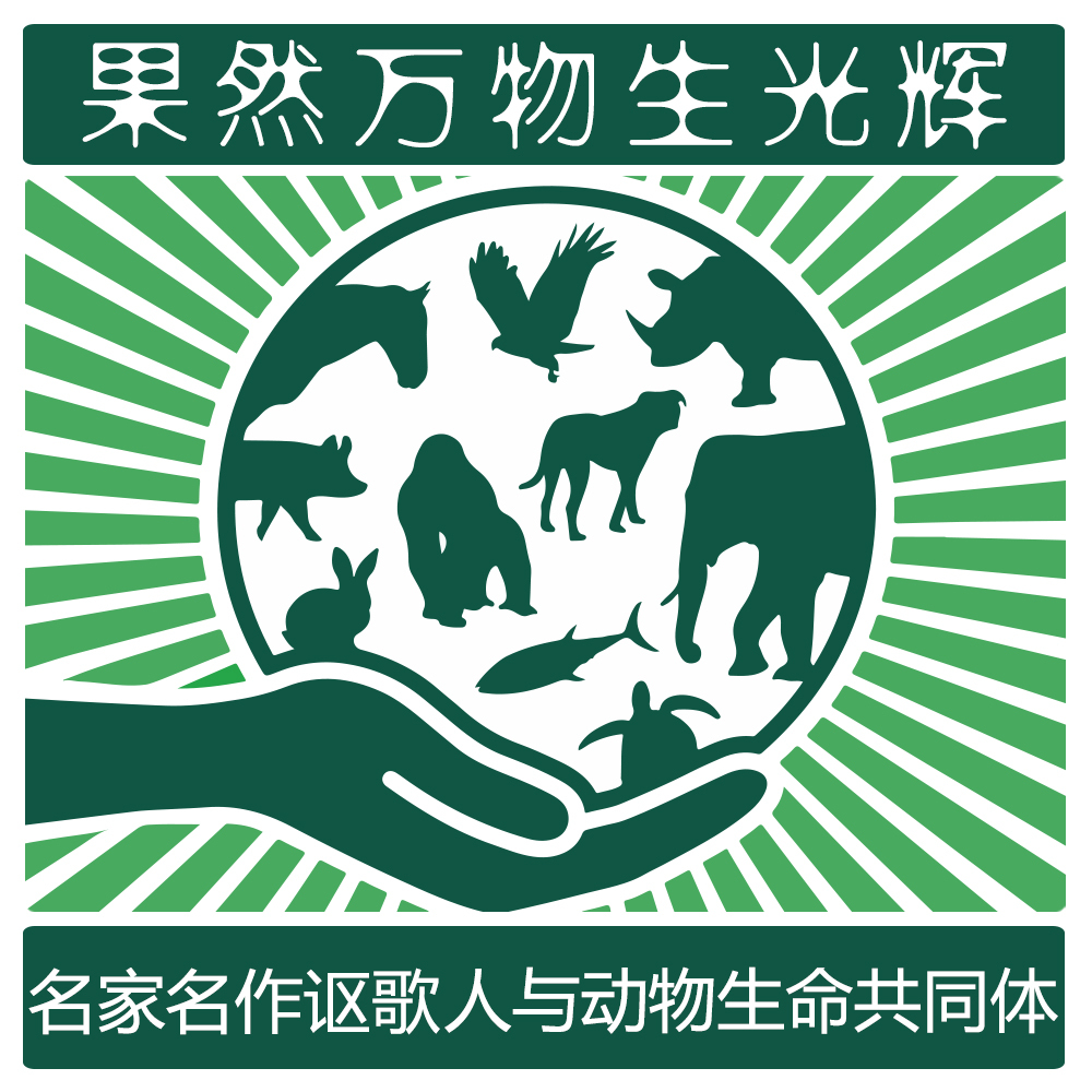 果然万物生光辉