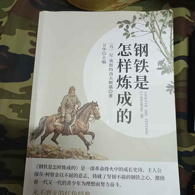 钢铁是怎样炼成的