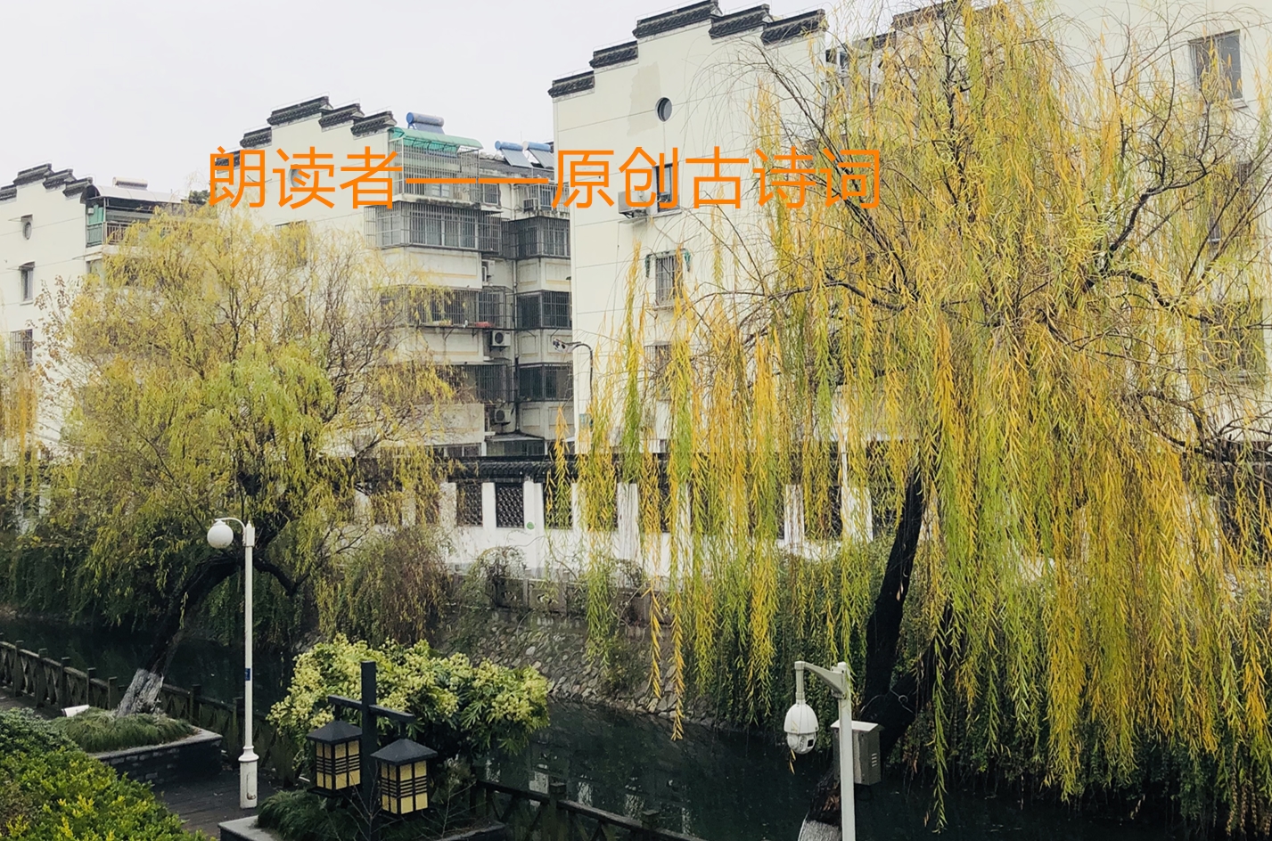 朗读者——原创古诗词