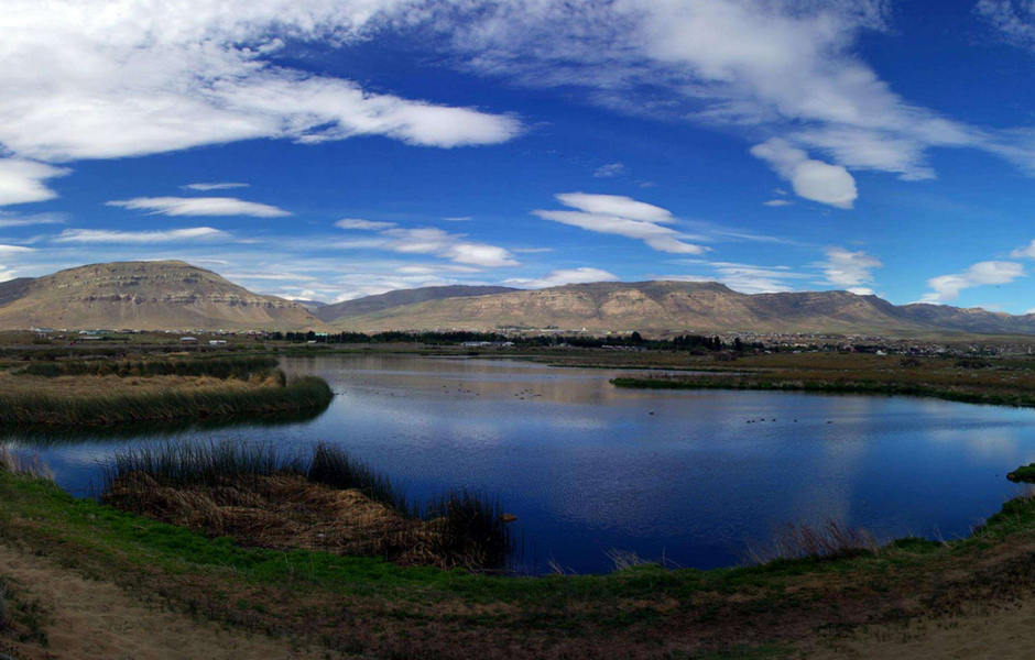 《精神分析引论》导读