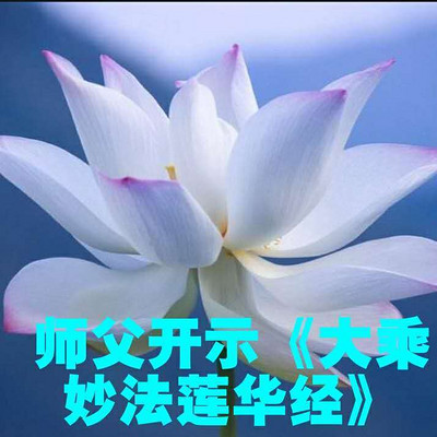 释僧参法师连云港开示大乘妙法莲华经1
