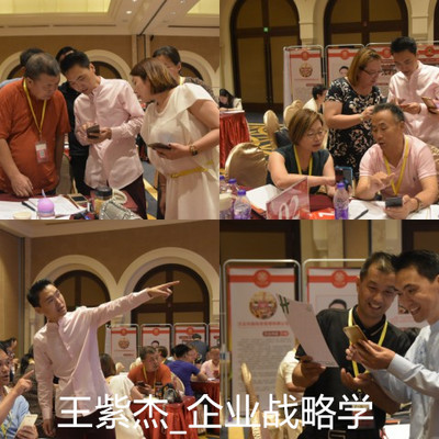王紫杰_企业战略学 王紫杰_企业战略学