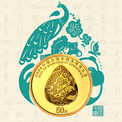 万物和谐的美丽世界 万物和谐的美丽世界