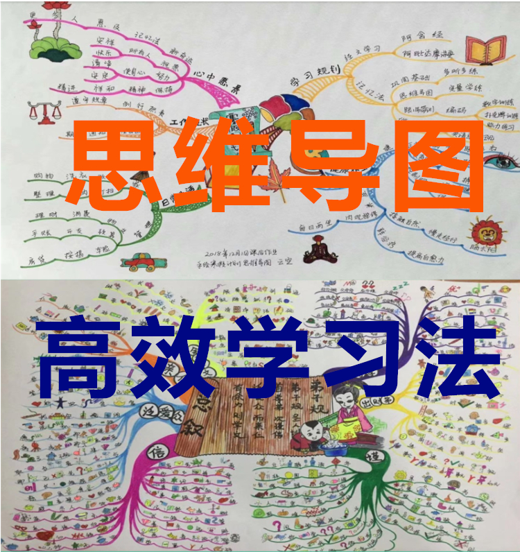 思维导图高效学习法