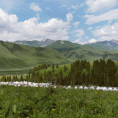 明日之星-谢萍萍