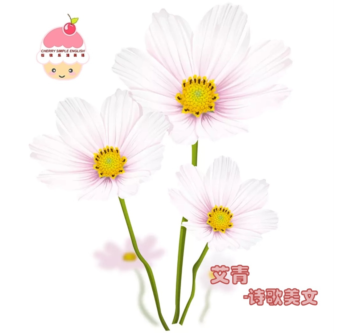艾青诗选-樱桃乐活诵读