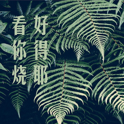 张酷/竹君/戴玲燕：看好你得烧耶