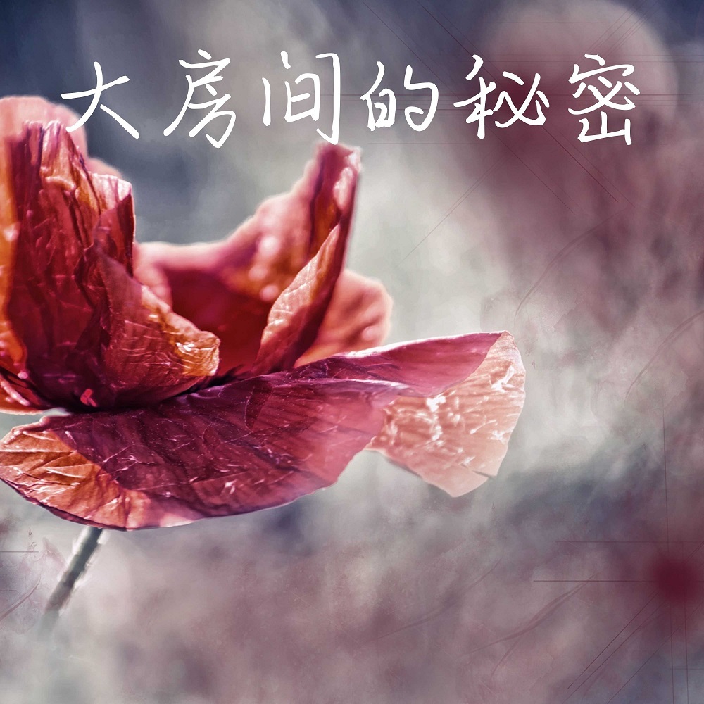 ZYL（DJ）：大房间的秘密
