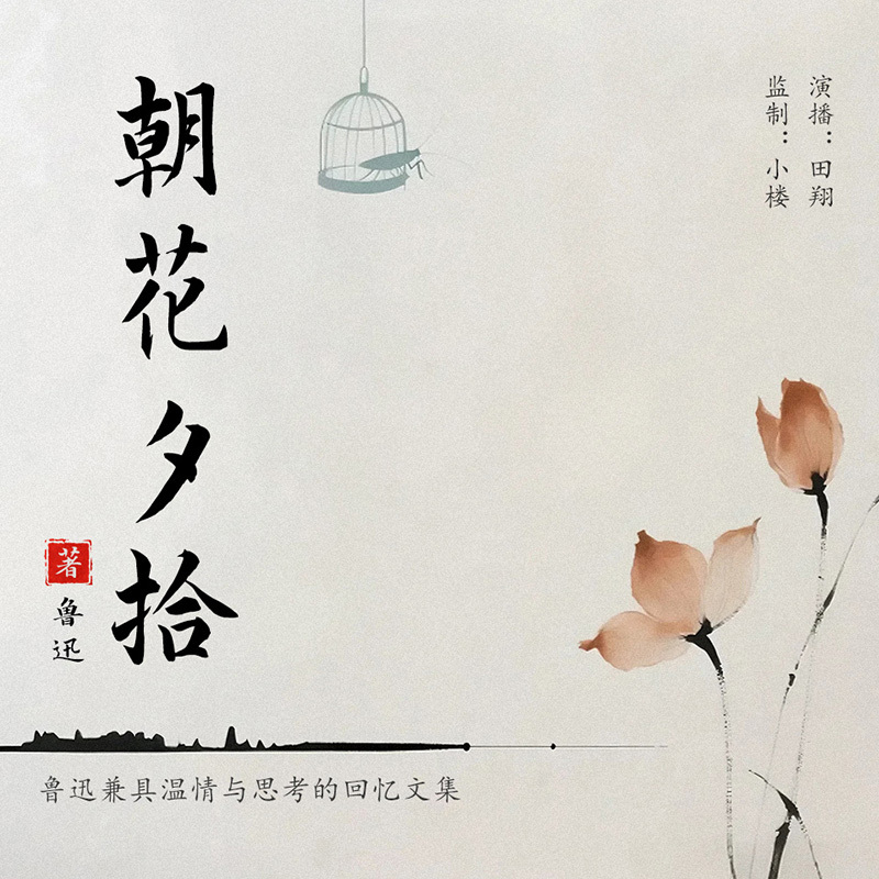 朝花夕拾丨鲁迅兼具温情与思考的回忆文集