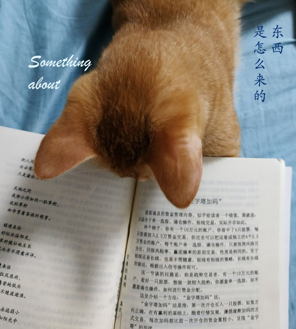 东西是怎么来的