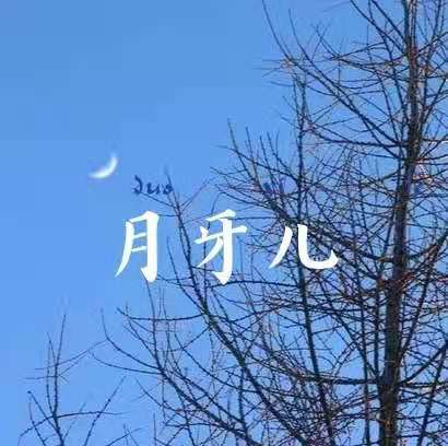 月牙儿