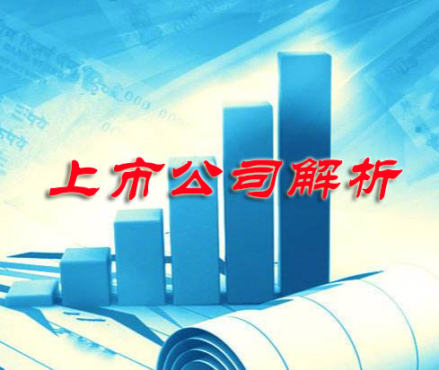 上市公司解析