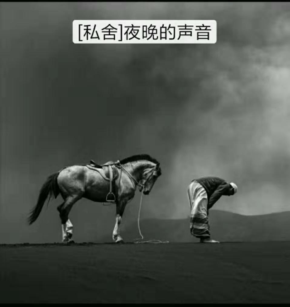夜晚的声音。