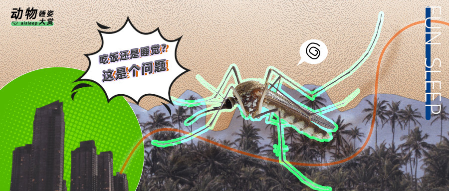 地球睡眠大赏系列