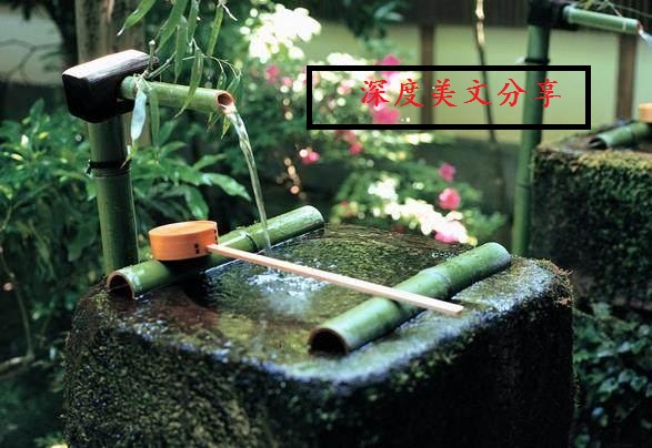 深度美文分享