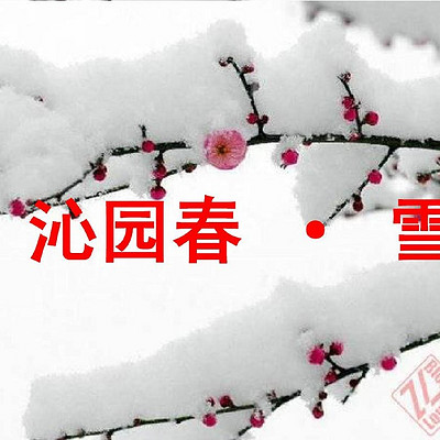 《沁园春·雪》