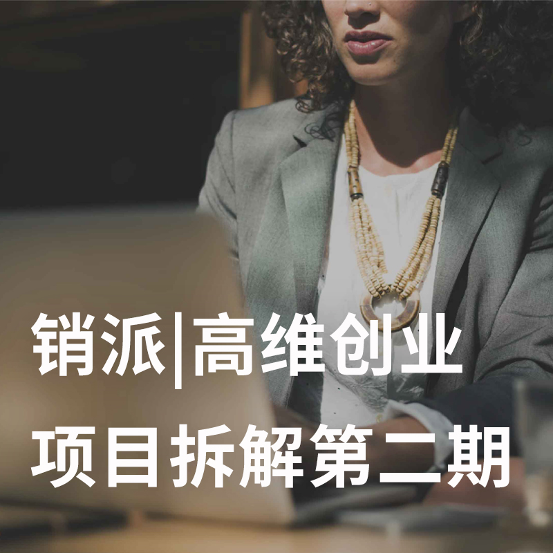 销派|高维创业项目拆解第二期