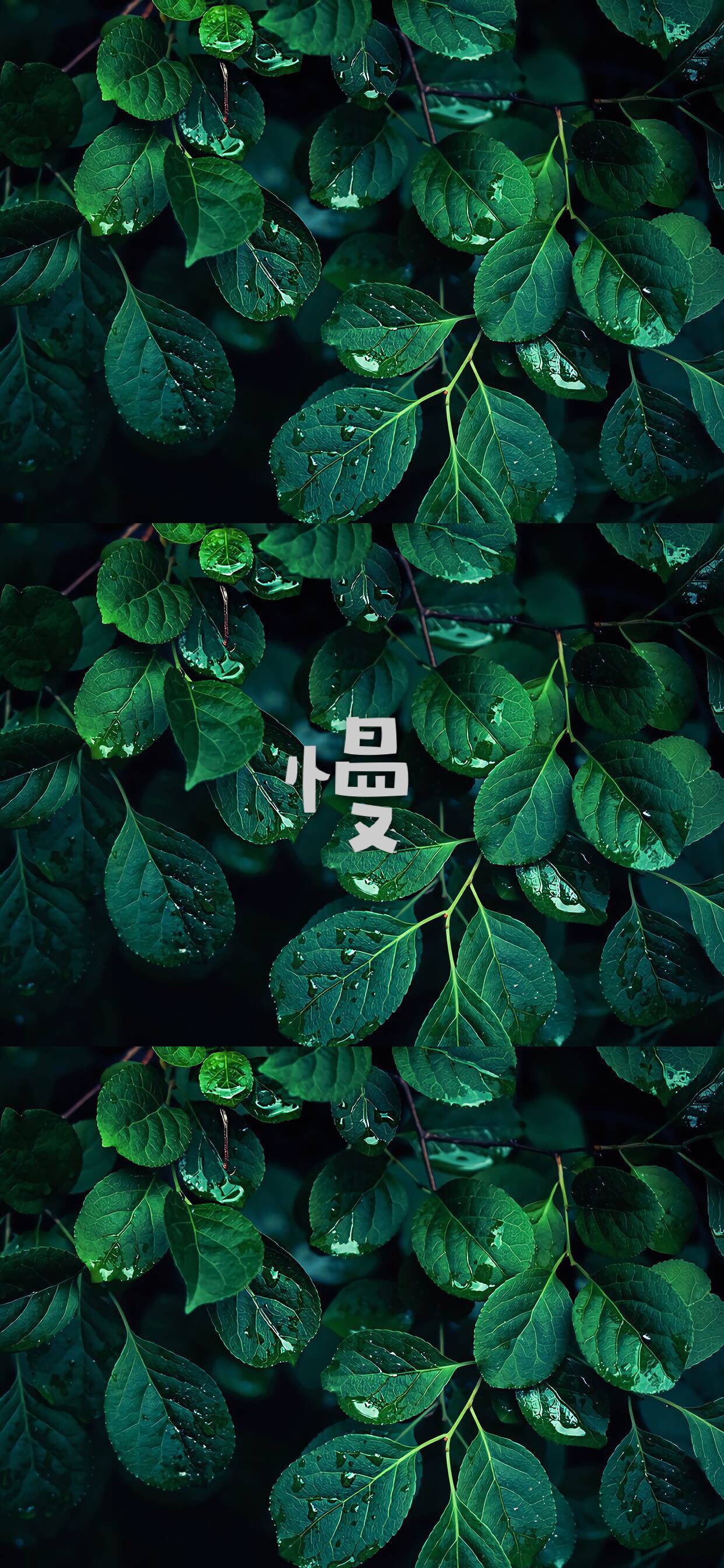 慢