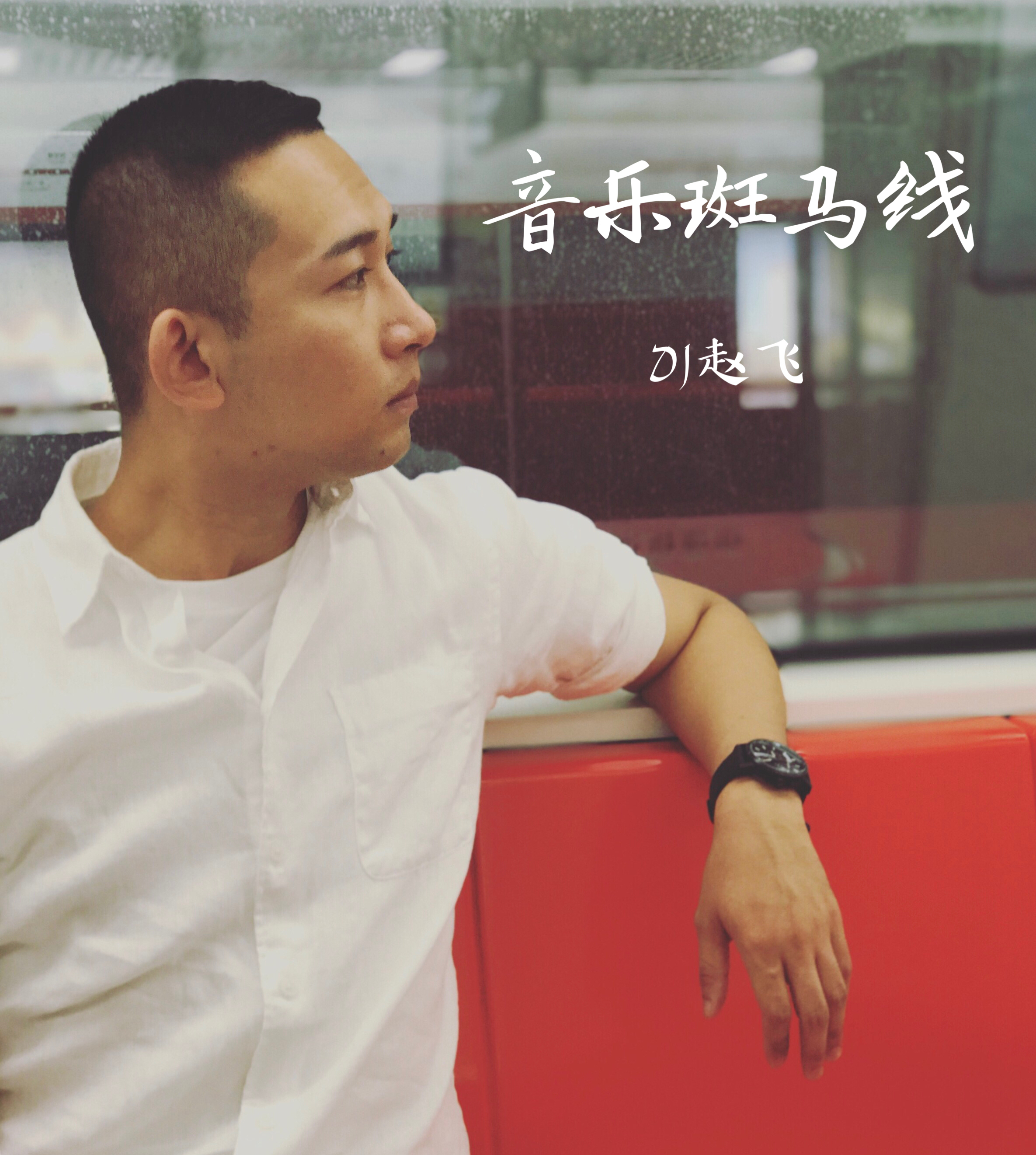 音乐斑马线