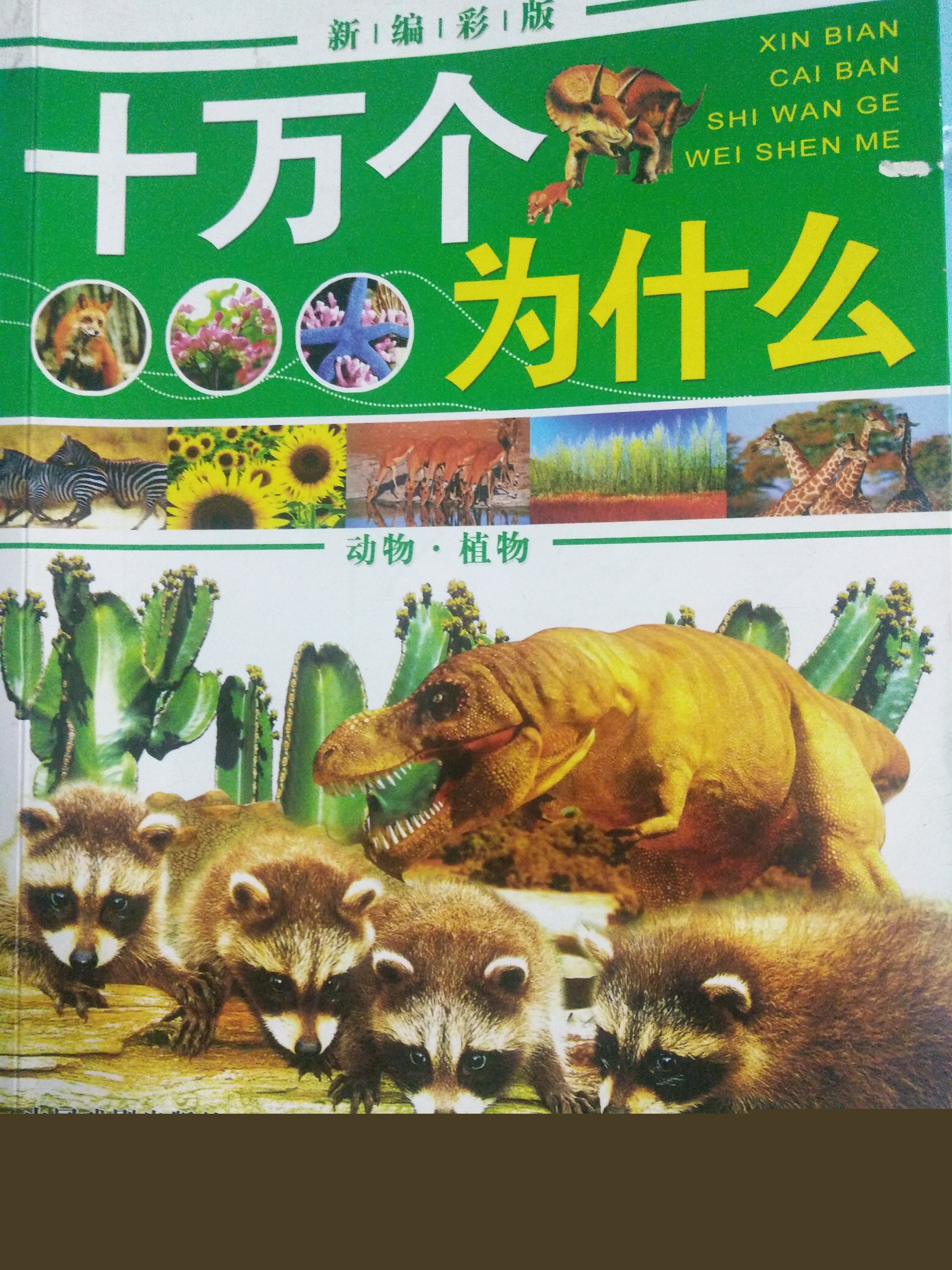 儿童百科知识