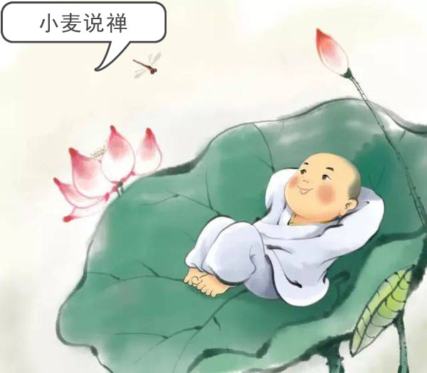 小麦说禅