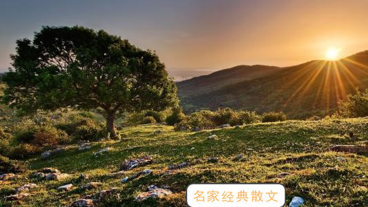名家经典散文