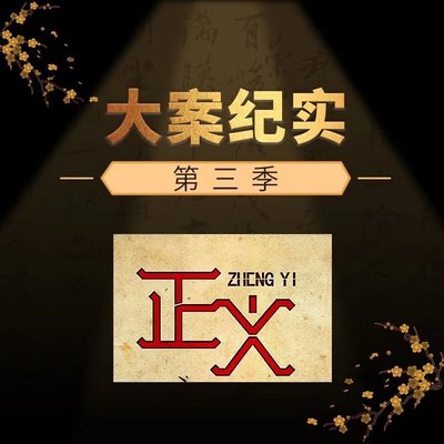 大案纪实（全纪录）