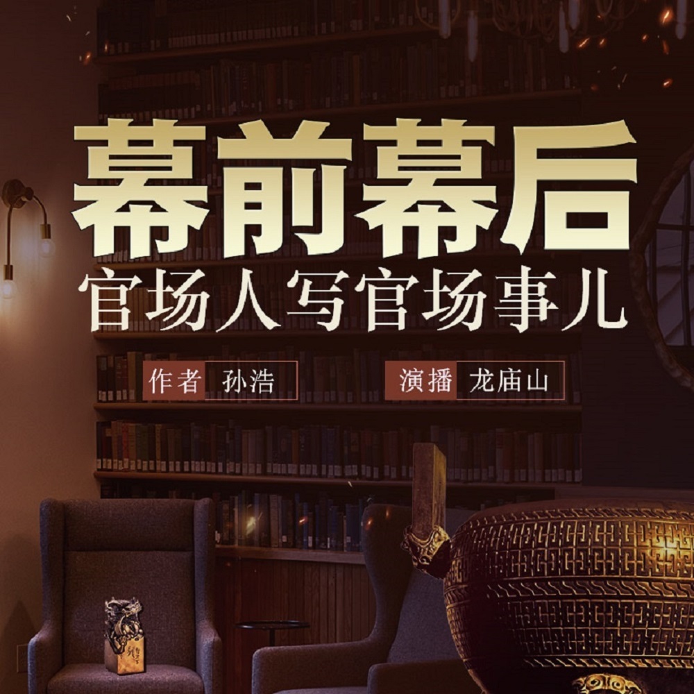 幕前幕后（官场人写官场事儿）