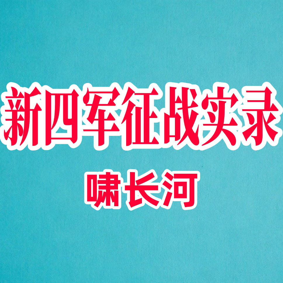 新四军征战实录