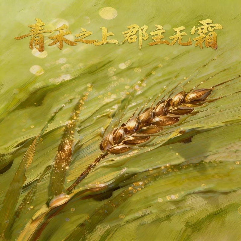 青禾之上郡主无霜