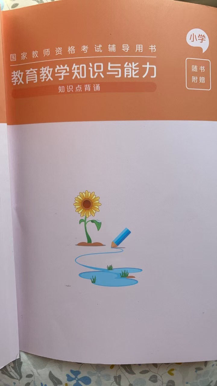 教育教学知识与能力-背诵知识点