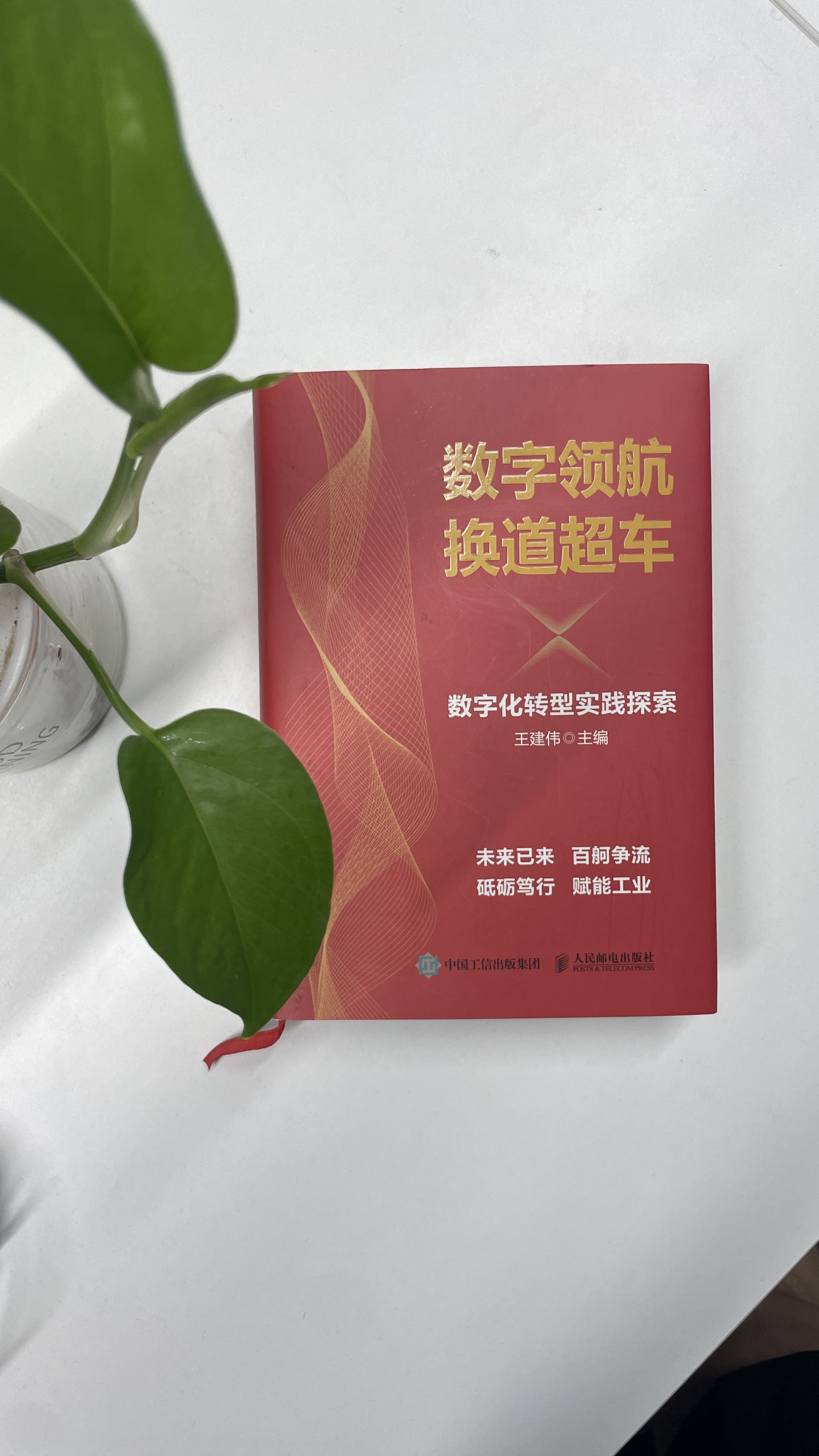 数字领航 换道超车